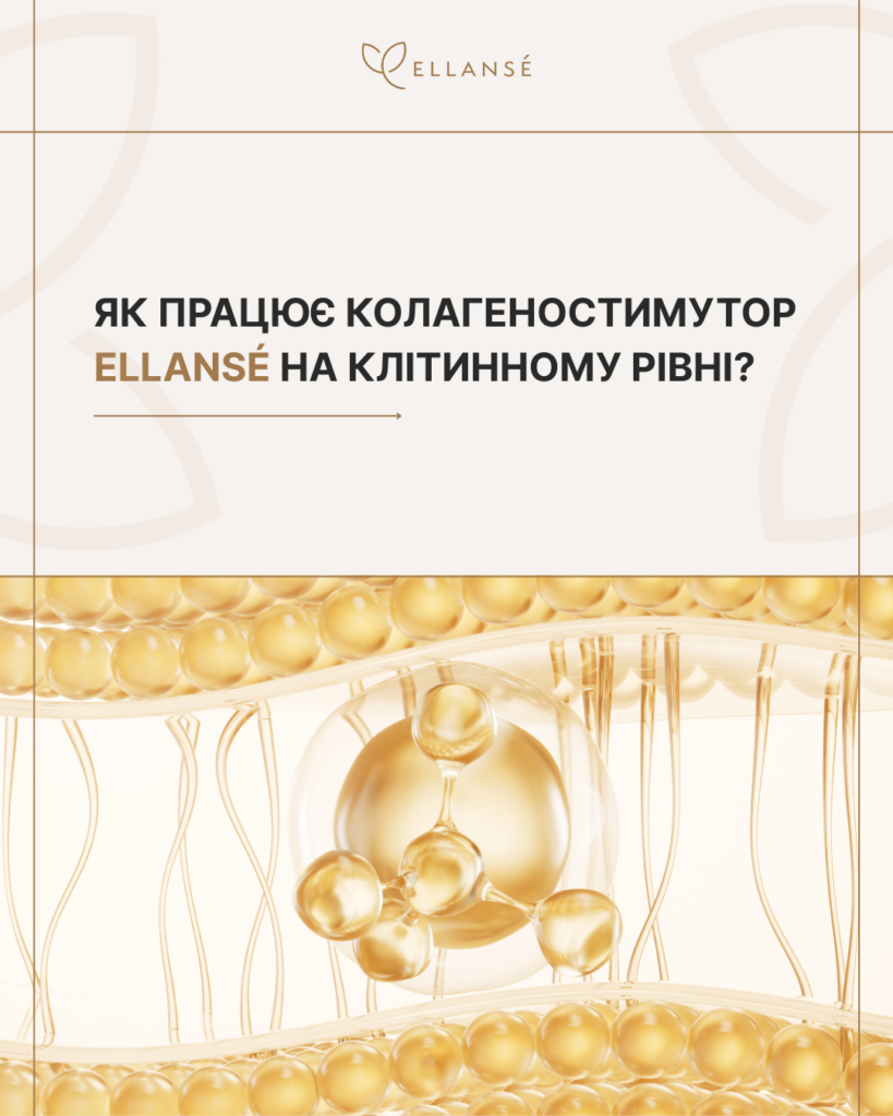 Ellanse-Posty_14_Як працює колагеностимутор_1