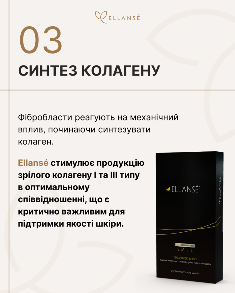 Ellanse-Posty_14_Як працює колагеностимутор_4
